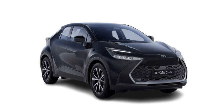 taxi transport Tesla Model Y